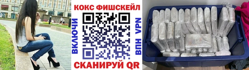 Cocaine Fish Scale  купить   Лиски 