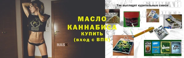 индика Нязепетровск