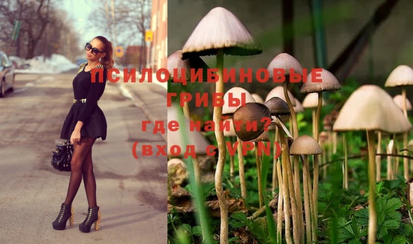 спиды Новодвинск