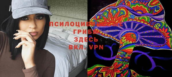 Альфа ПВП Чегем