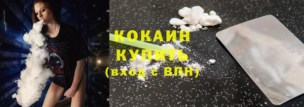 спиды Новодвинск