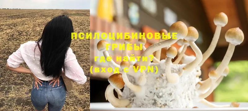 Галлюциногенные грибы MAGIC MUSHROOMS  ОМГ ОМГ зеркало  Лиски 